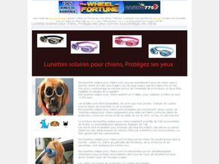 Lunettes solaires pour chiens