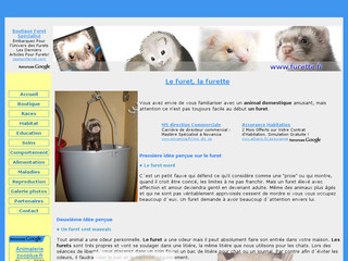 Furet et Furette